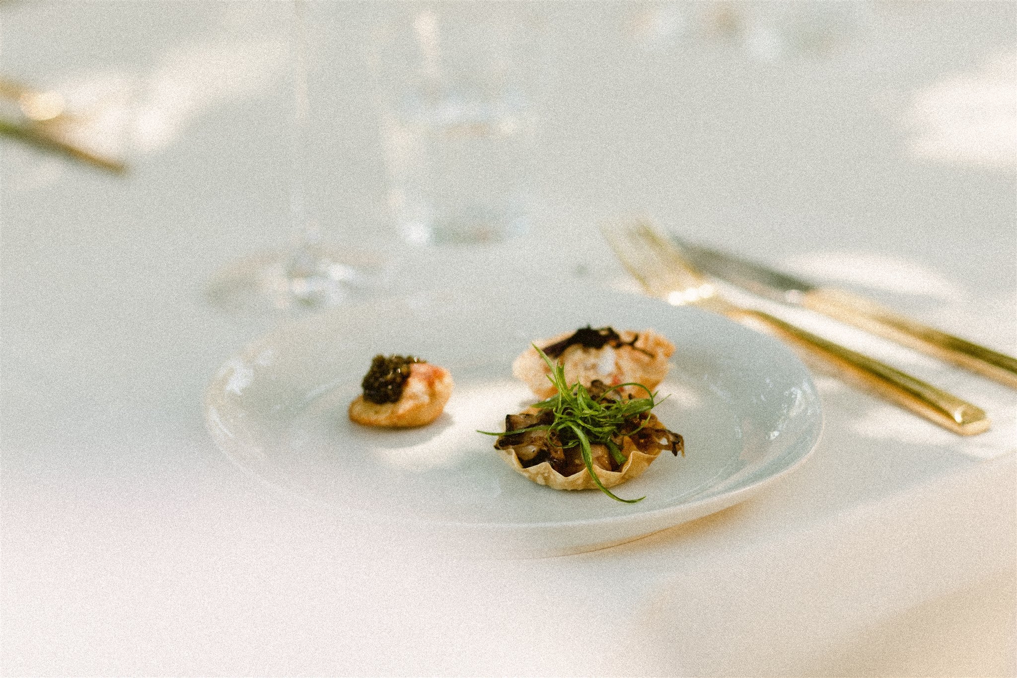 closeup of meal on plate