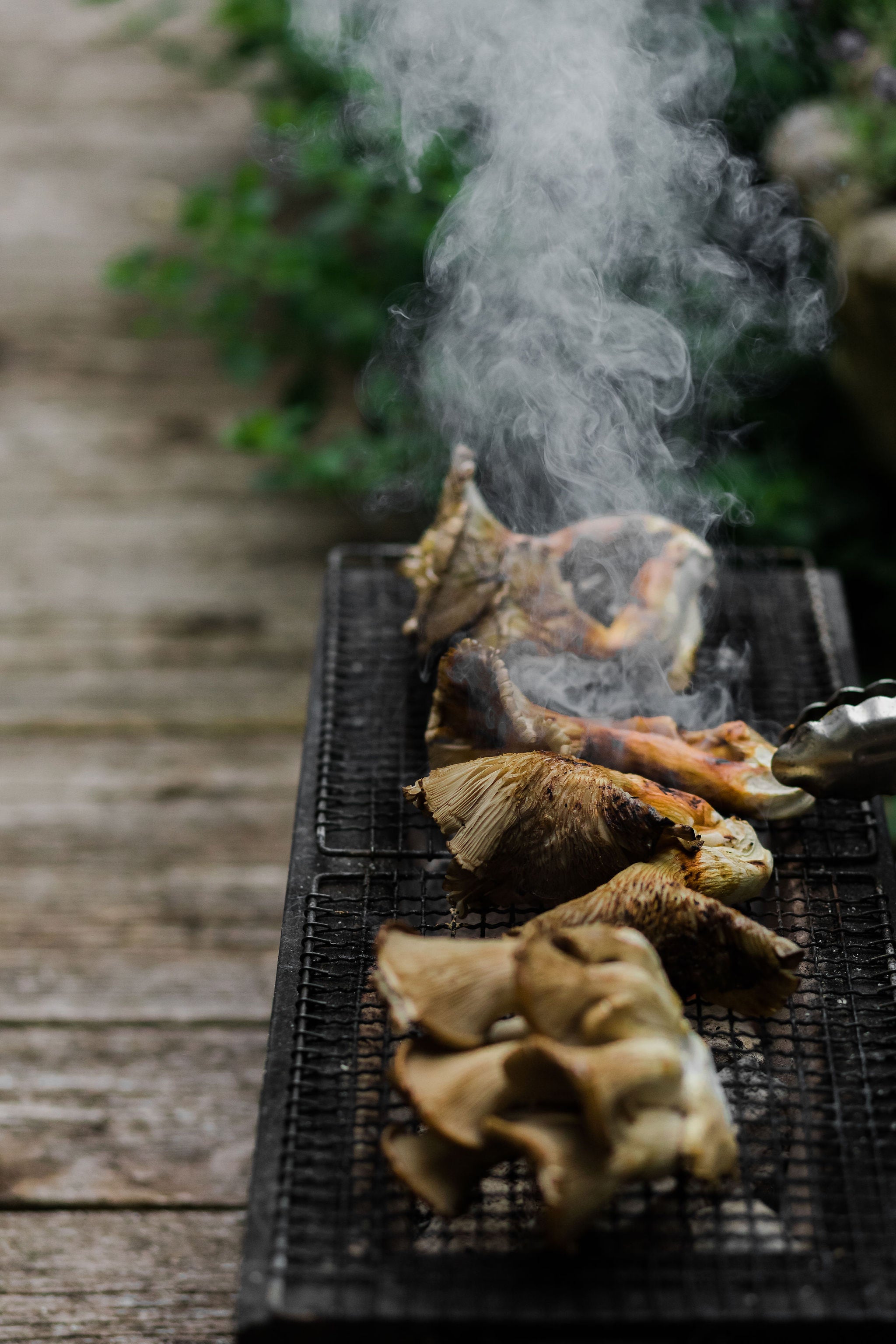 mushrooms grilling 