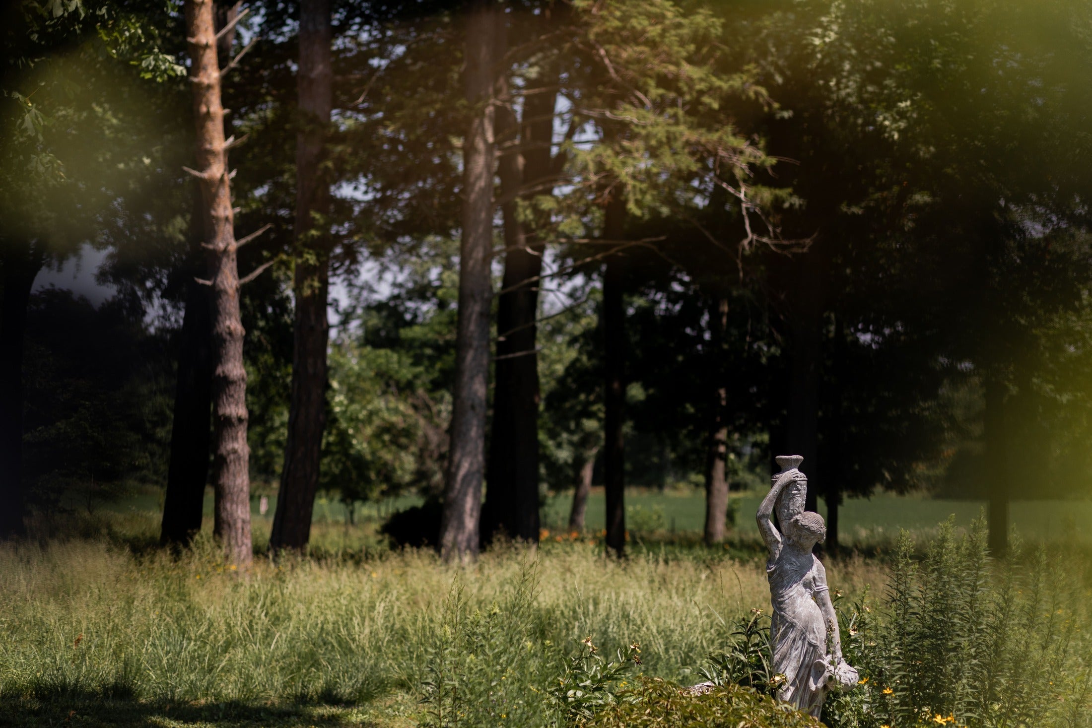 classical garden statue sits in meadow, grove of trees behind it