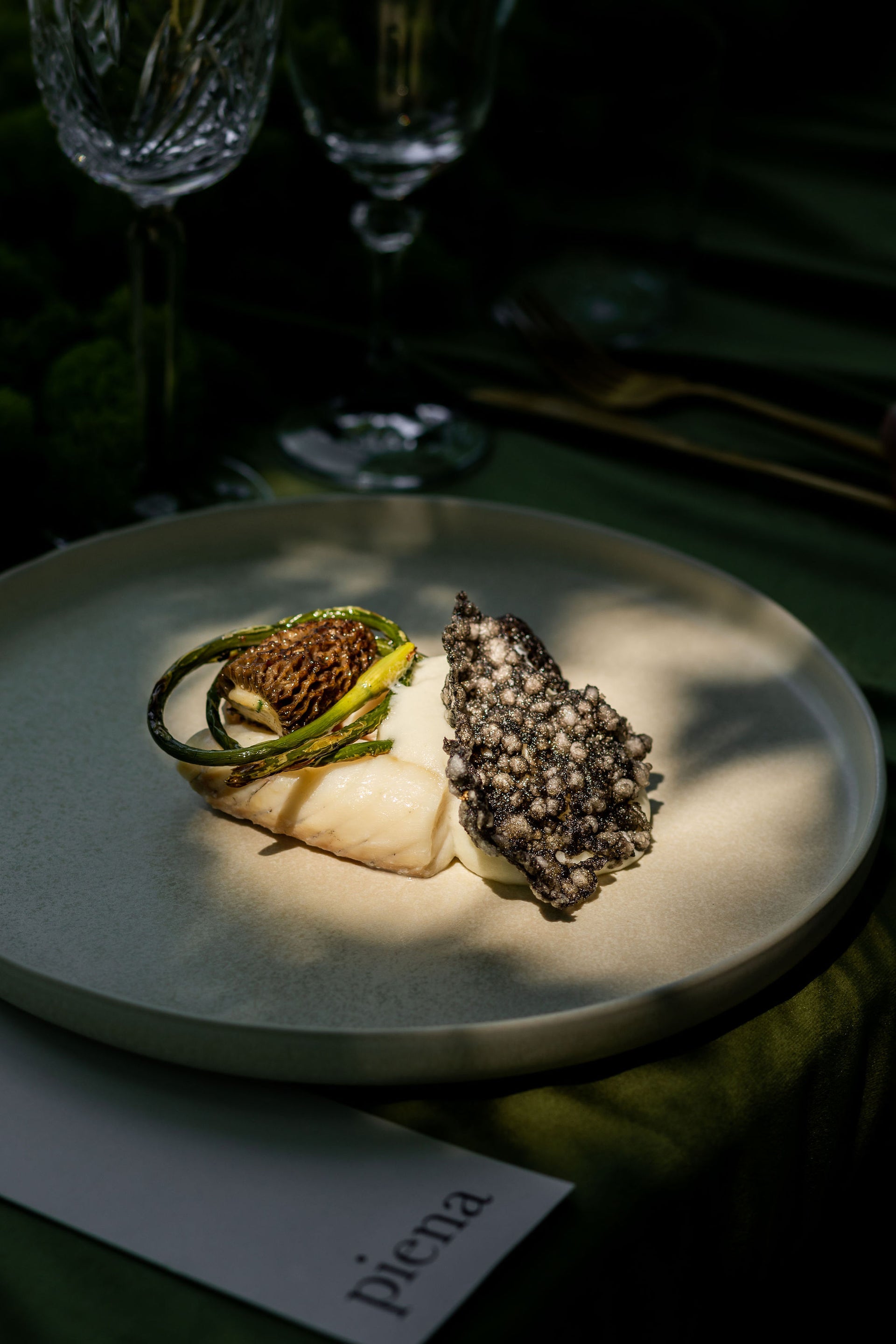 a meal sits on a dinner plate under dappled light