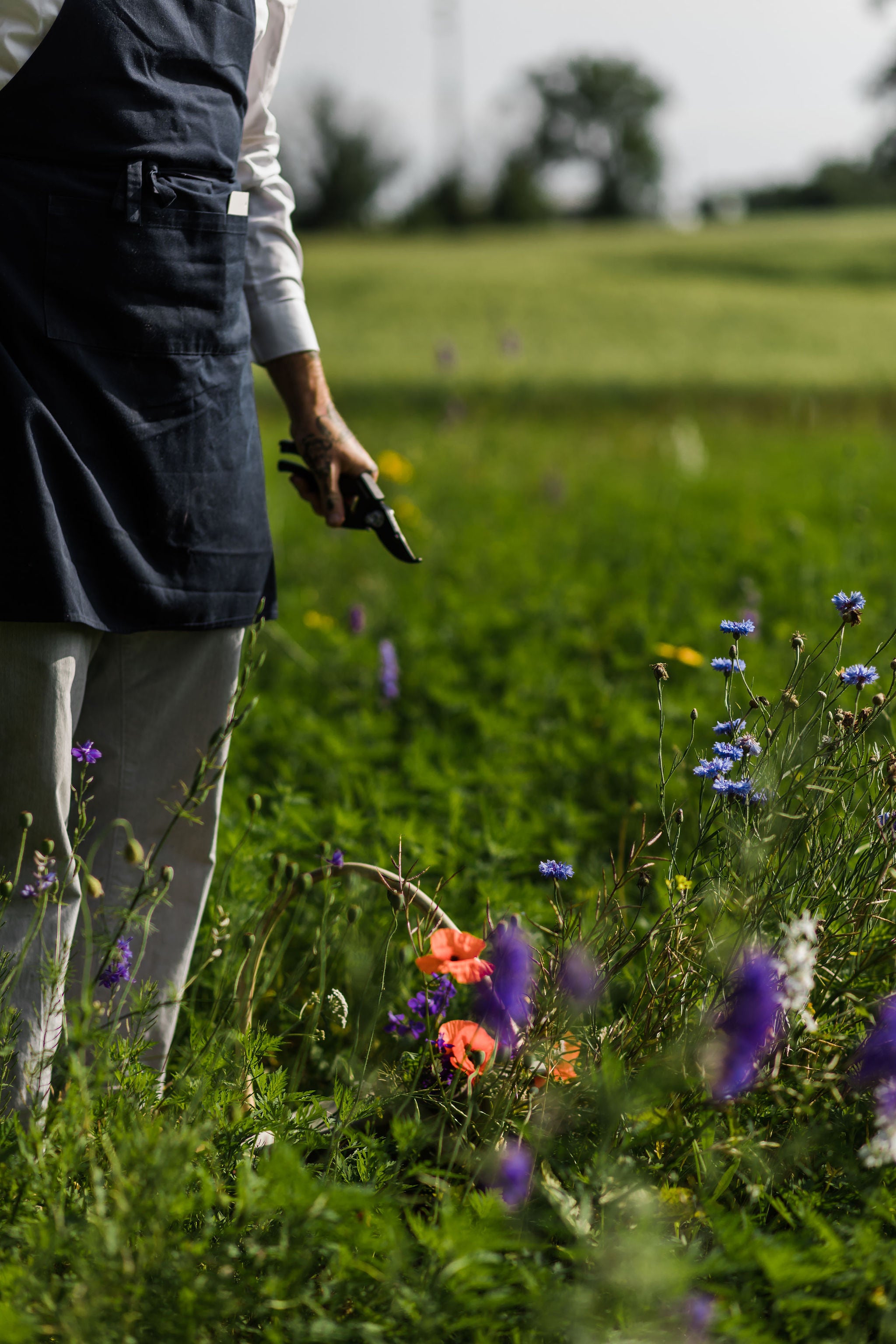 man stands in garden with shears